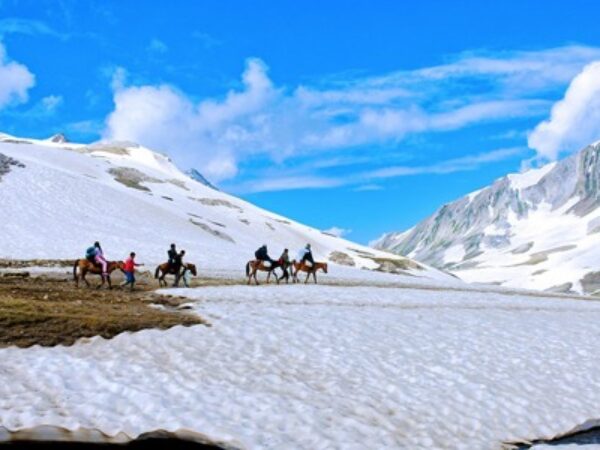 Discover Our Beautiful Andaman Family Tour Packages